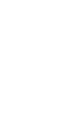 intro face